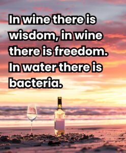 Wine bottle and glass on beach with quote: 'In wine there is wisdom...bacteria