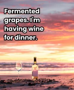 Wine bottle and glass on beach with sunset; text: 'Fermented grapes. I'm having wine for dinner